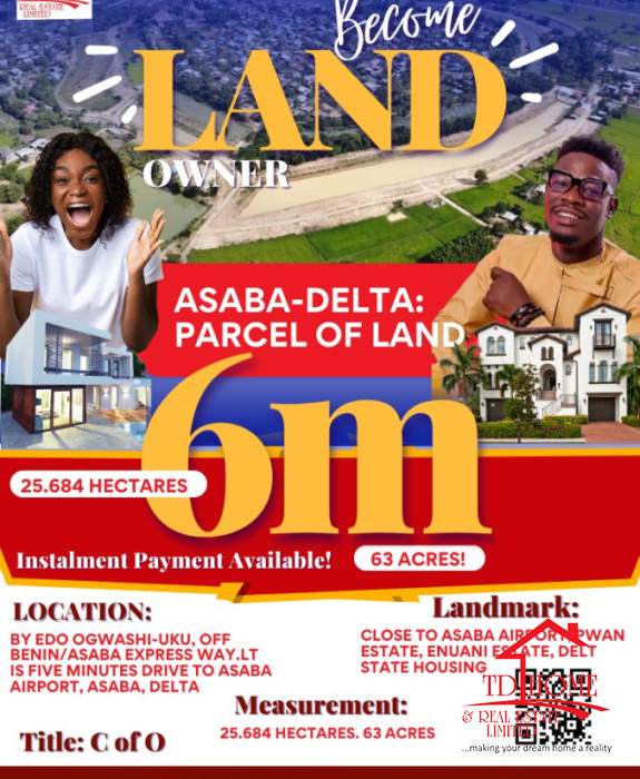 Buy 6m Per Plot of Land in Asaba Delta State Real Estate Investment Opportunity with High ROI